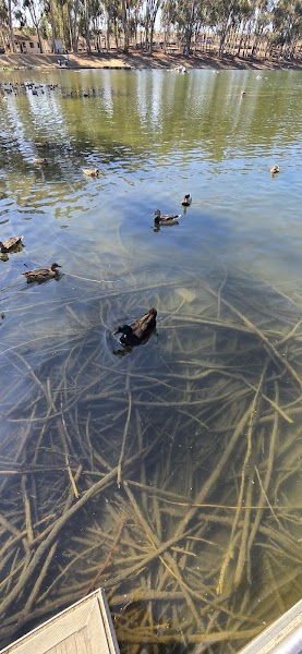 Chollas Lake Park