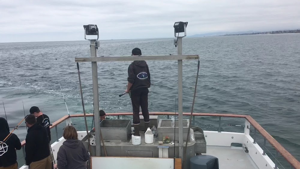 Chubasco 2 Sportfishing