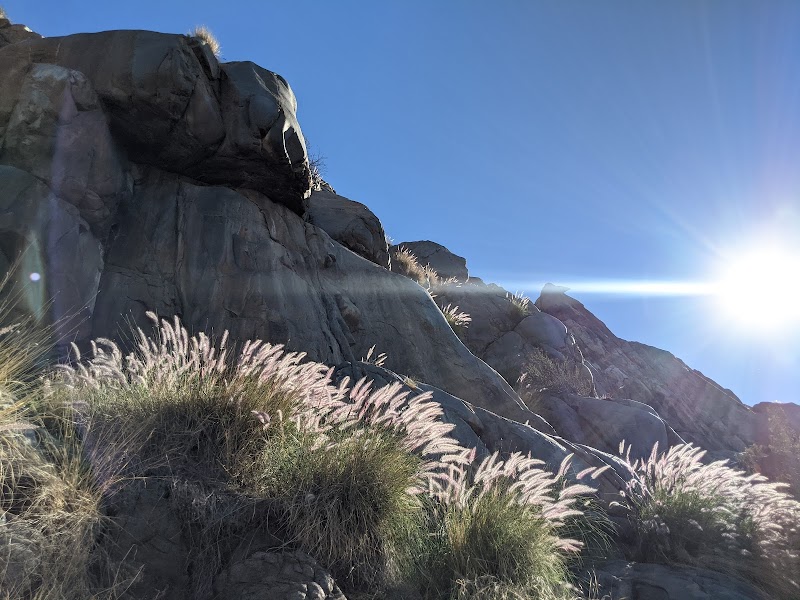 Climbers Loop North Trailhead