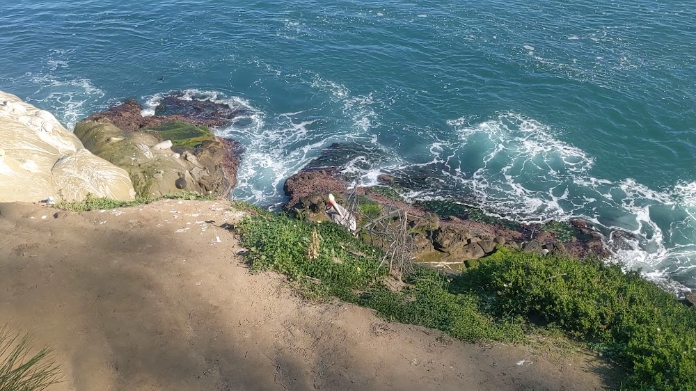 Coast Walk Trail