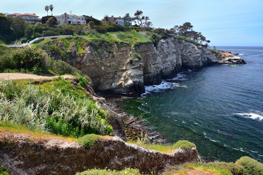 Coast Walk Trail