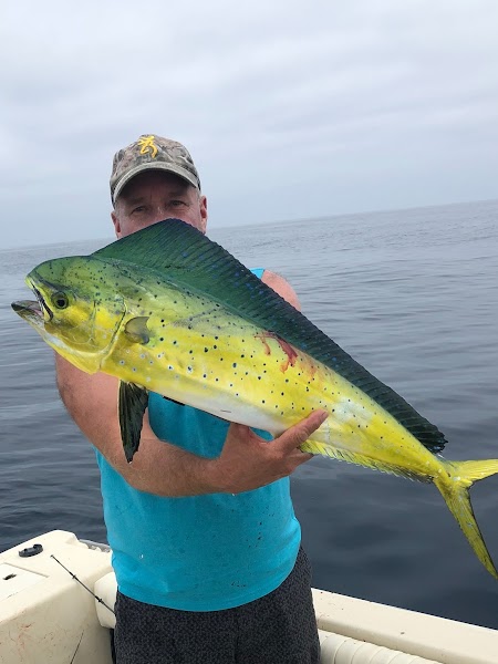 Cobalt Sport Fishing