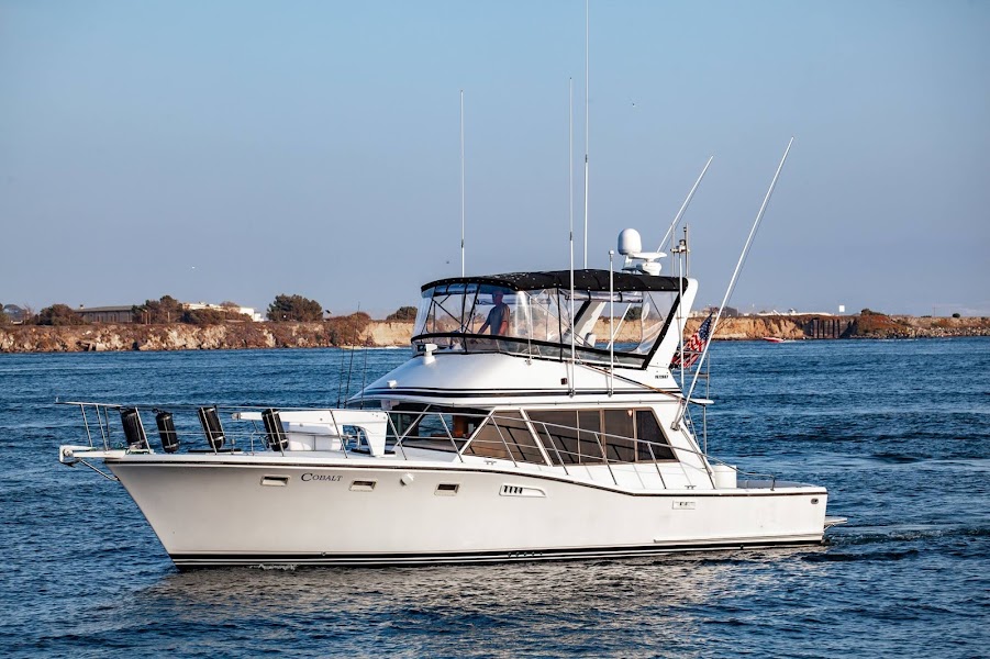 Cobalt Sport Fishing