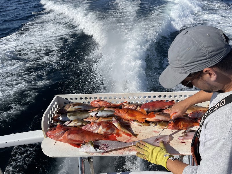 Coletta Sportfishing