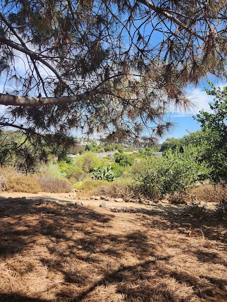 Collier Park