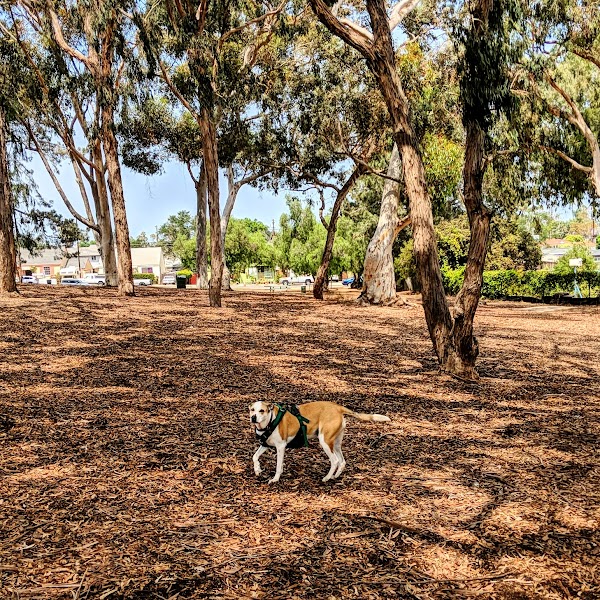 Collier Park