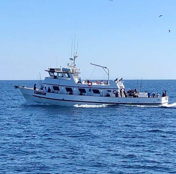 Condor Sportfishing
