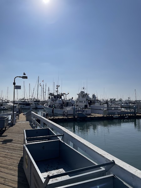 Condor Sportfishing