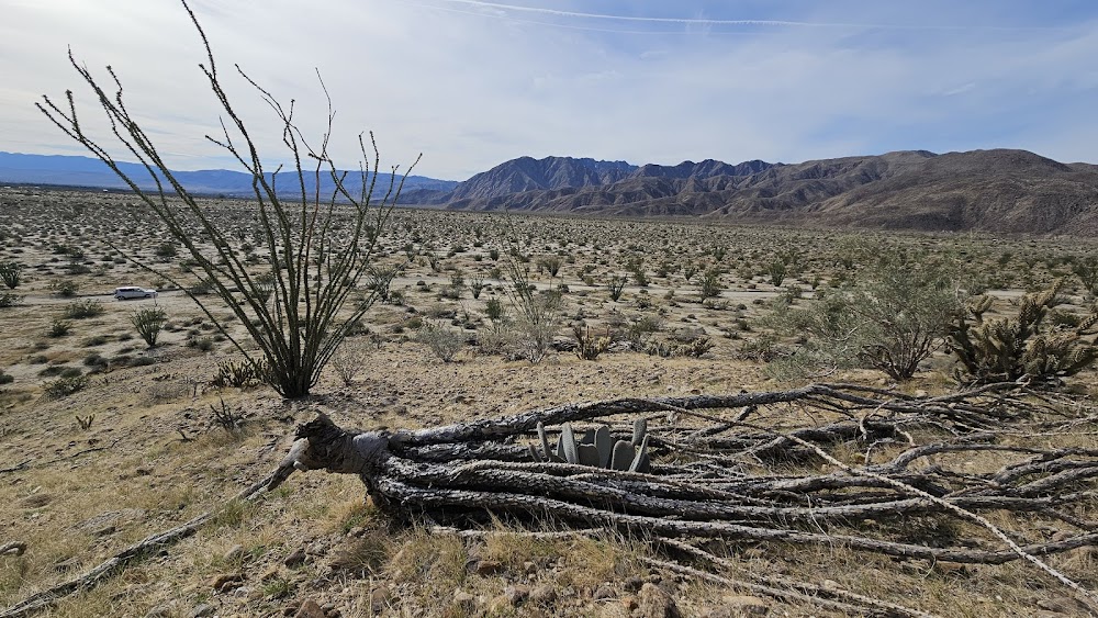 Coyote Canyon campsite
