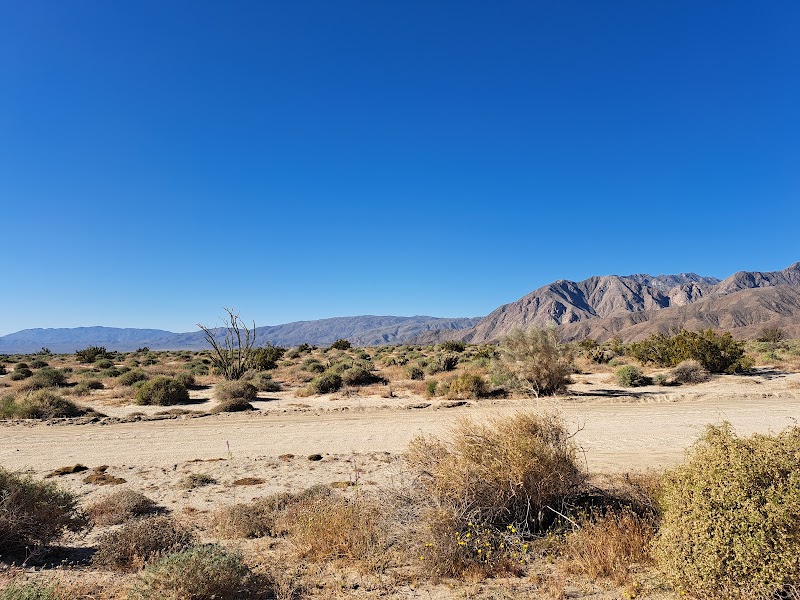 Coyote Canyon campsite