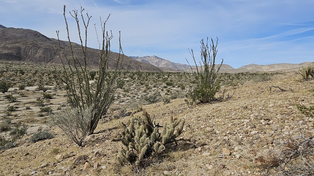 Coyote Canyon campsite