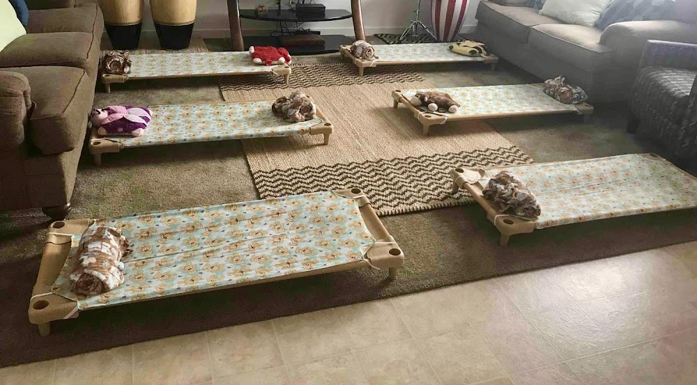 Creative Little Minds Daycare