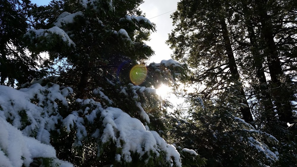 Crestline Group Campground