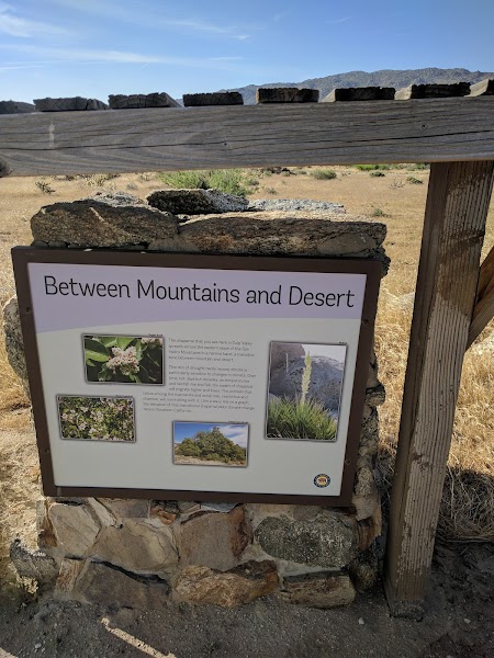 Culp Valley Primitive Campground