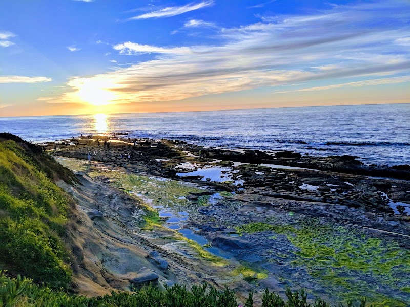 Cuvier Park