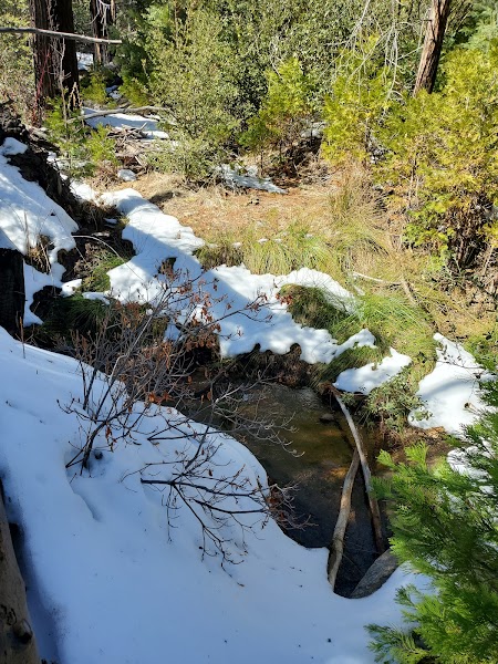 Cuyamaca Peak Trailhead