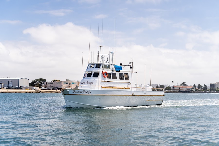 Daiwa Pacific Sport Fishing
