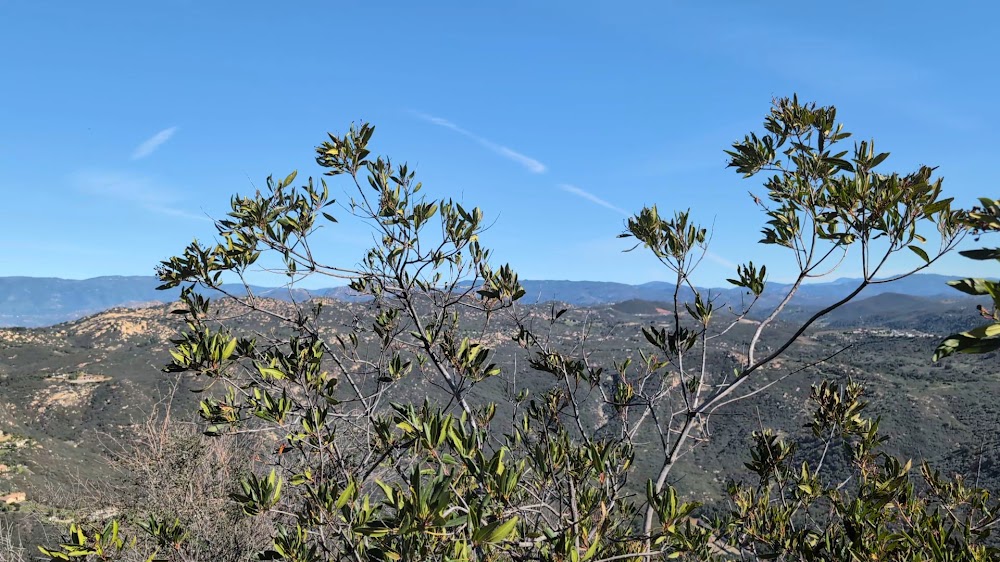 Daley Ranch Park