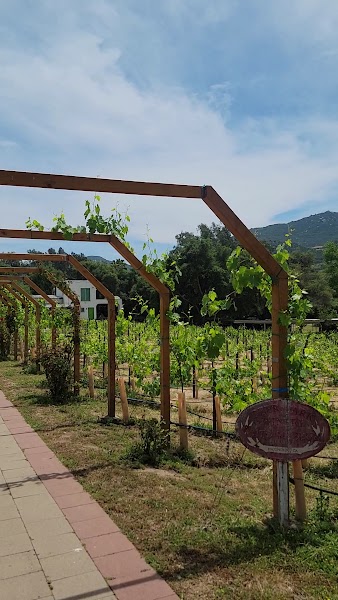 Deer Park Winery & Auto Museum