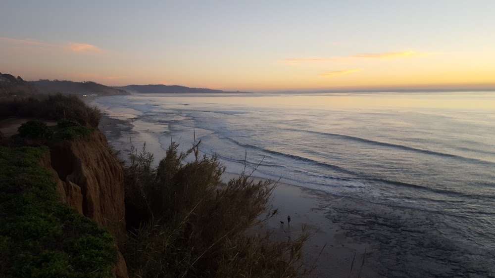 Del Mar Surf School