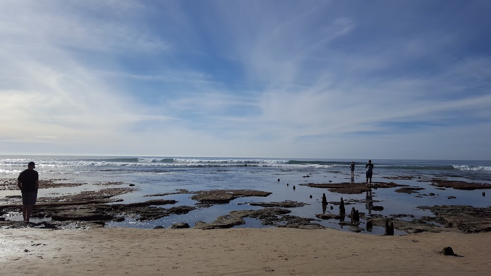 Del Mar Surf School