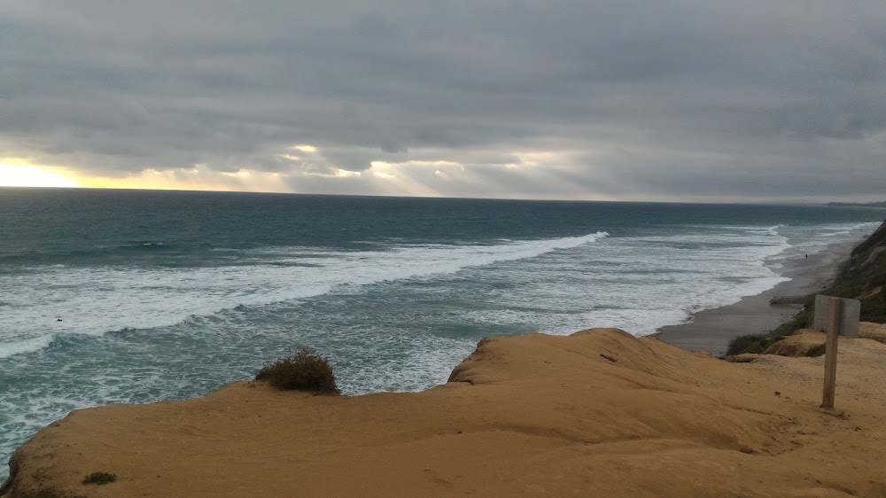 Del Mar Surf School