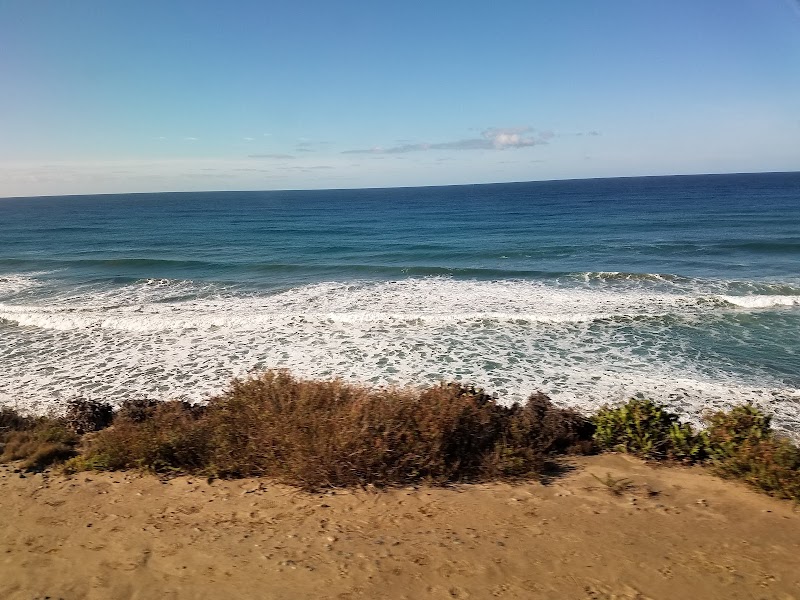 Del Mar Surf School