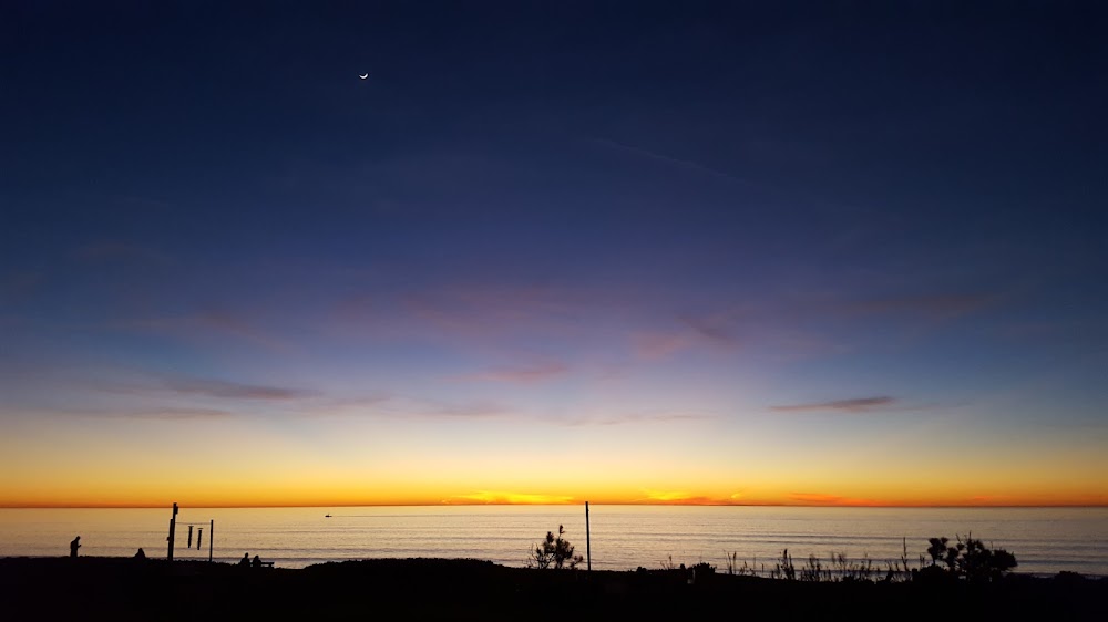 Del Mar Surf School