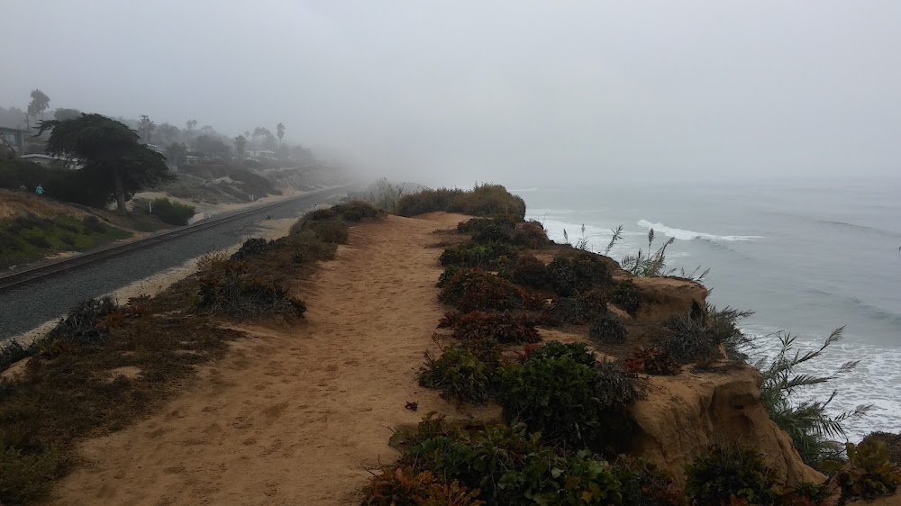 Del Mar Surf School