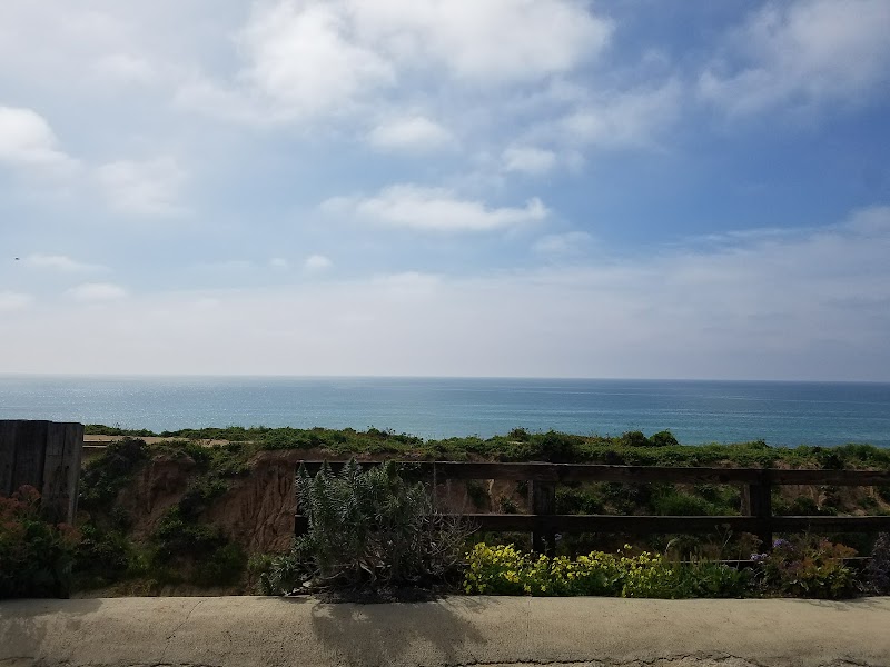 Del Mar Surf School