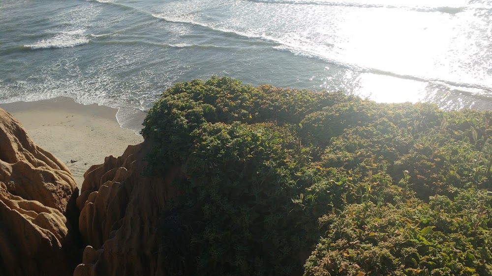 Del Mar Surf School