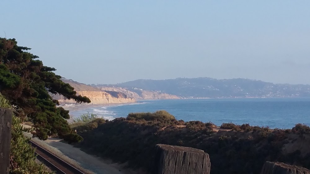 Del Mar Surf School