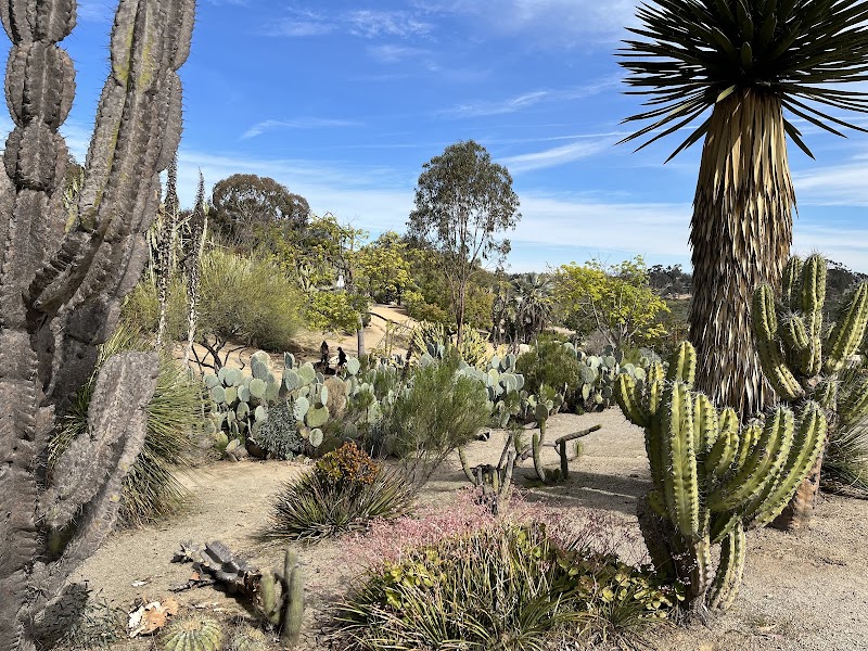 Desert Garden