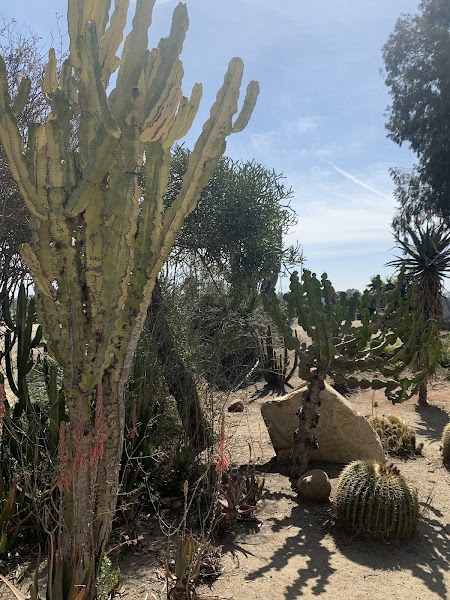 Desert Garden