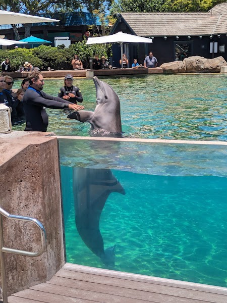 Dolphin Point