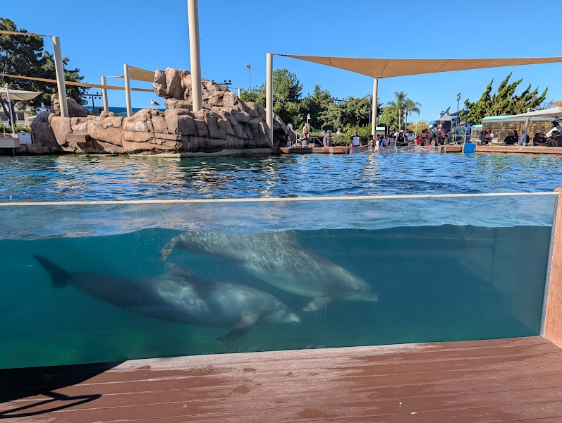 Dolphin Point