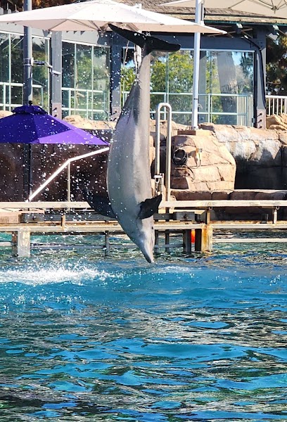 Dolphin Point