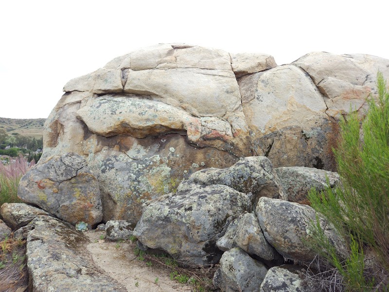 Dolphin Rock