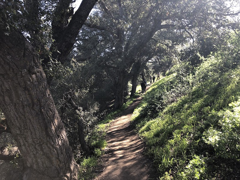 Eagle Rock