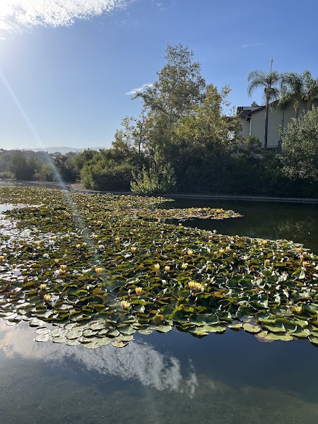 Eastlake III Pond