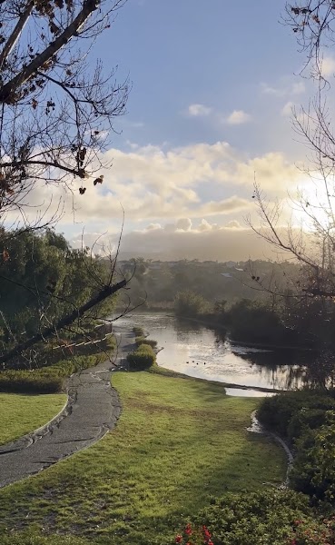 Eastlake III Pond