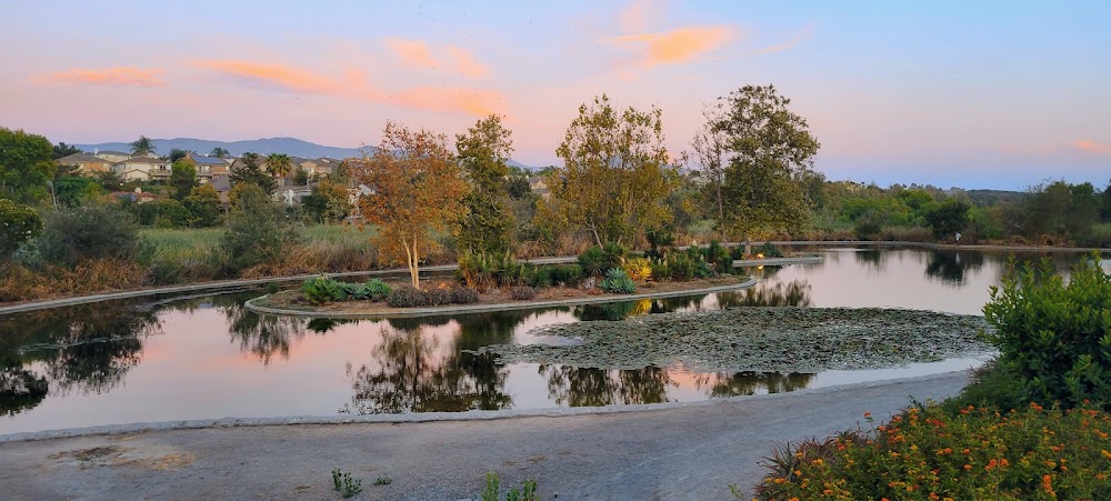 Eastlake III Pond