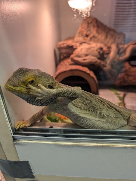 EcoVivarium