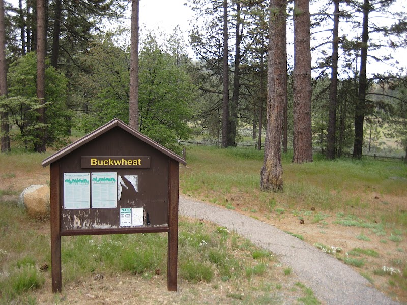 El Prado Group Campground - Big Sage