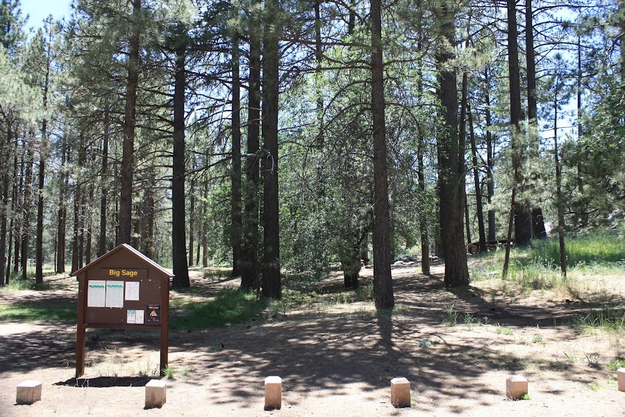 El Prado Group Campground - Big Sage