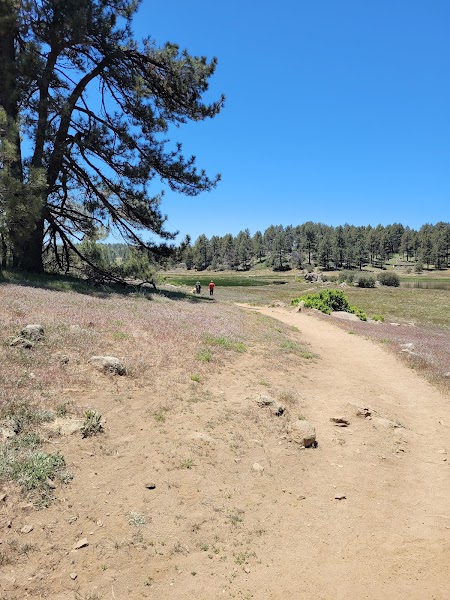 El Prado Group Campground - Big Sage