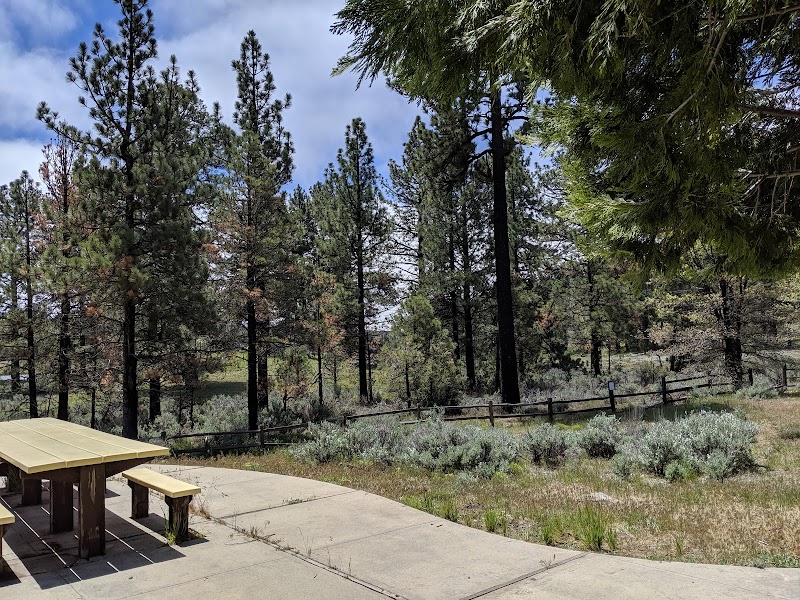 El Prado Group Campground - Big Sage
