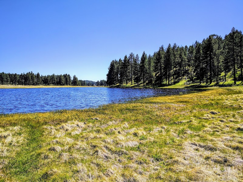 El Prado Group Campground - Big Sage