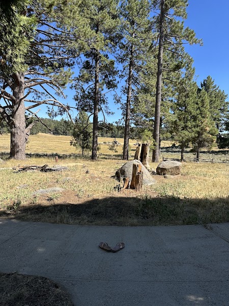 El Prado Group Campground - Yerba Santa