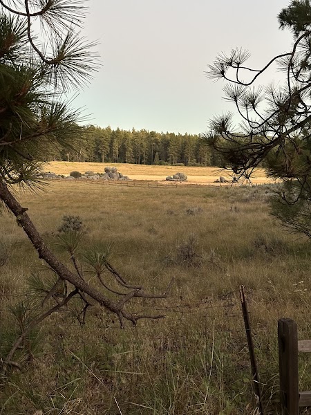 El Prado Group Campground - Yerba Santa